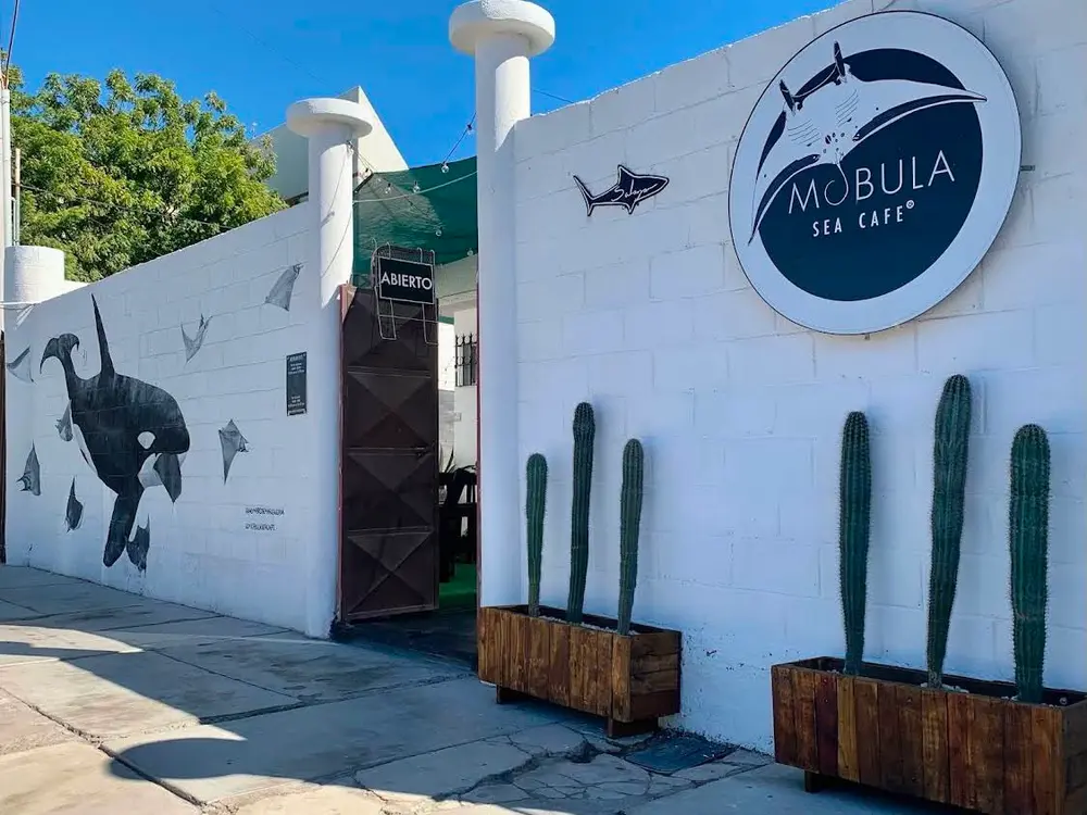 MOBULA Sea Cafe en La Paz